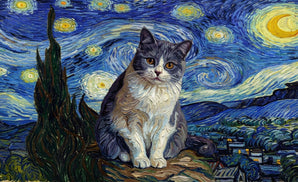 Starry Night Oil 