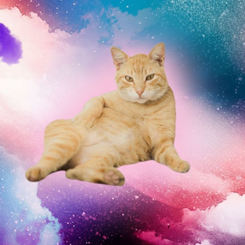 Stardust Dream