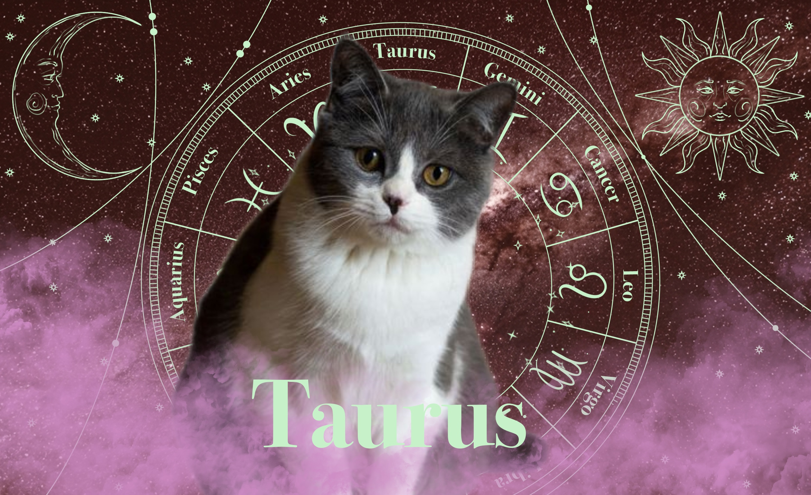 Taurus