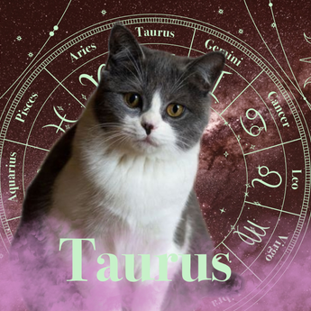 Taurus