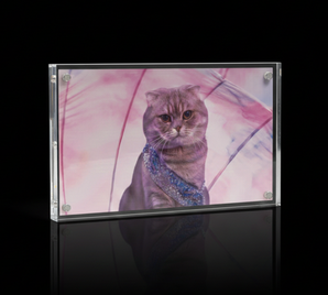 Acrylic Block Frame with Image 9"x5.5"