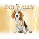 Hip Hop Pets Gold example artwork with a beagle, gold chains and Sir Wally lettering against golden lightning.