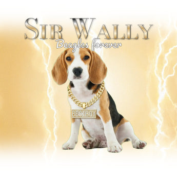 Hip Hop Pets Gold example artwork with a beagle, gold chains and Sir Wally lettering against golden lightning.