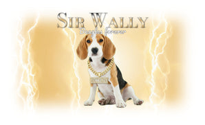Hip Hop Pets - Gold