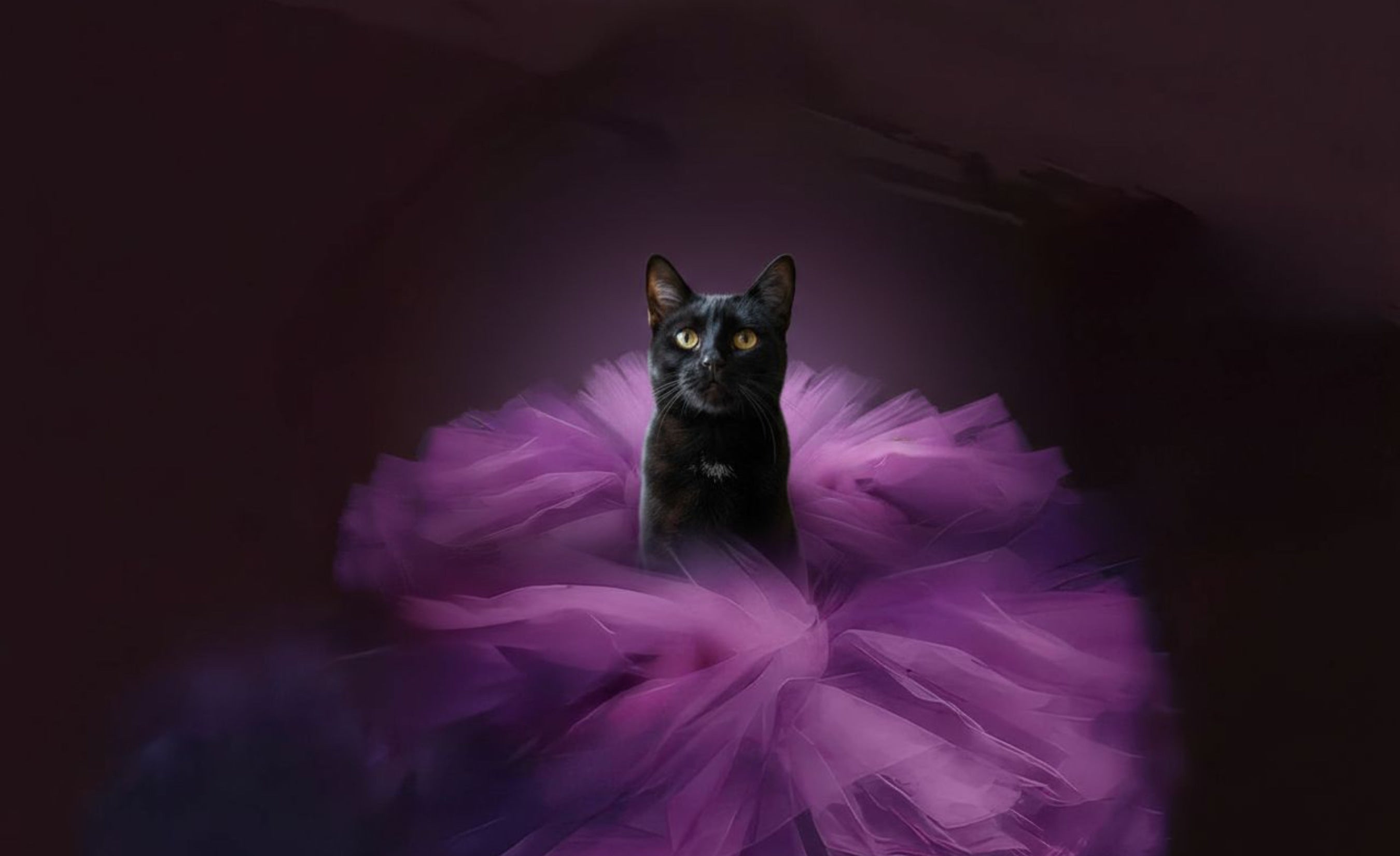 Enchanted Kitty Custom Tumbler