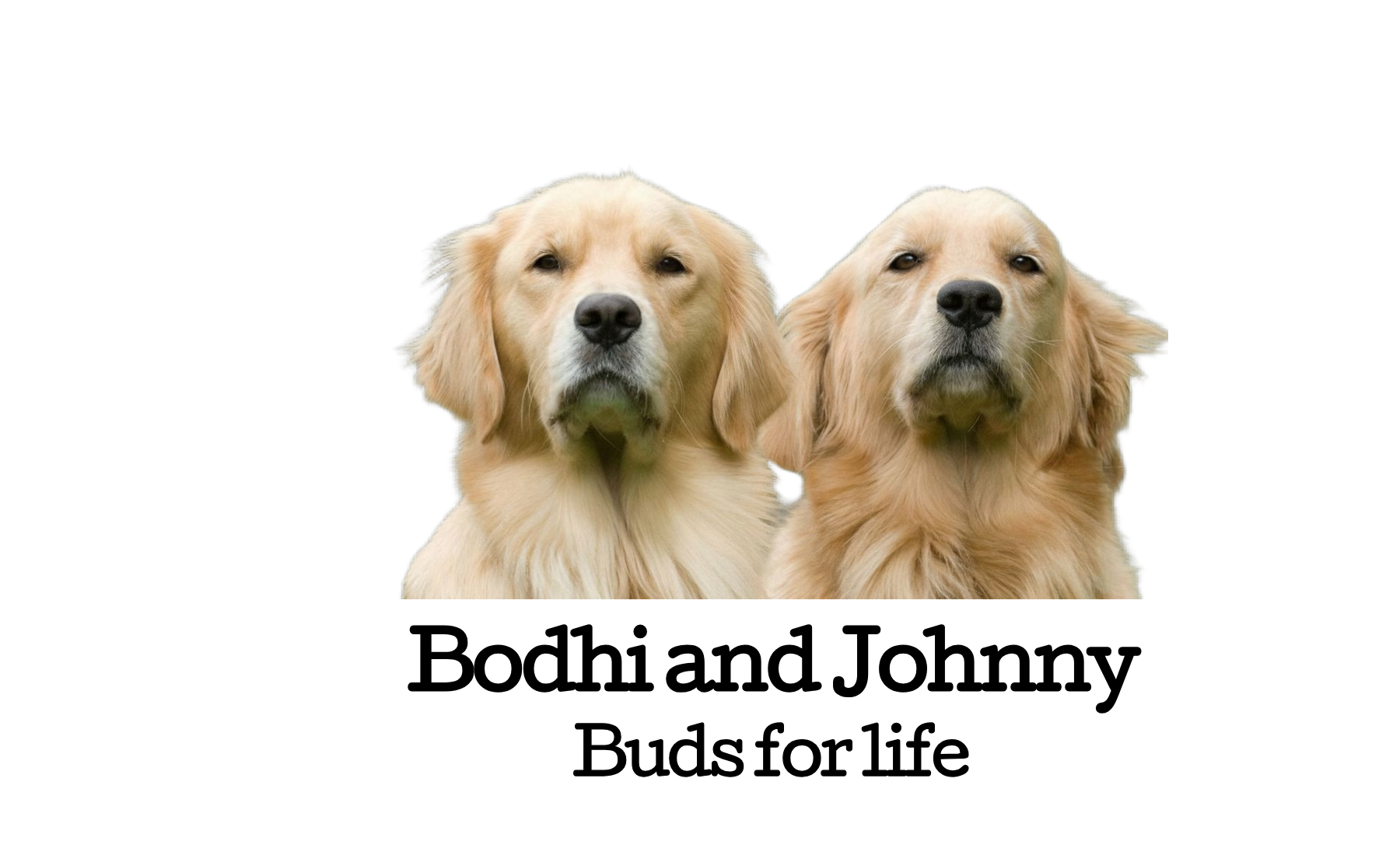 Photo Filter Pups Custom Tumbler