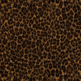 Chocolate Leopard wrap art