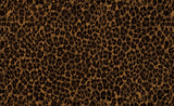 Chocolate Leopard wrap art