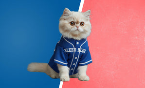 Baseball Fans - LA Blue