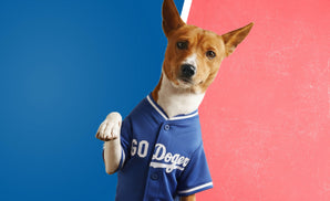Baseball Fans - LA Blue