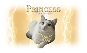 Hip Hop Pets Custom Tumbler