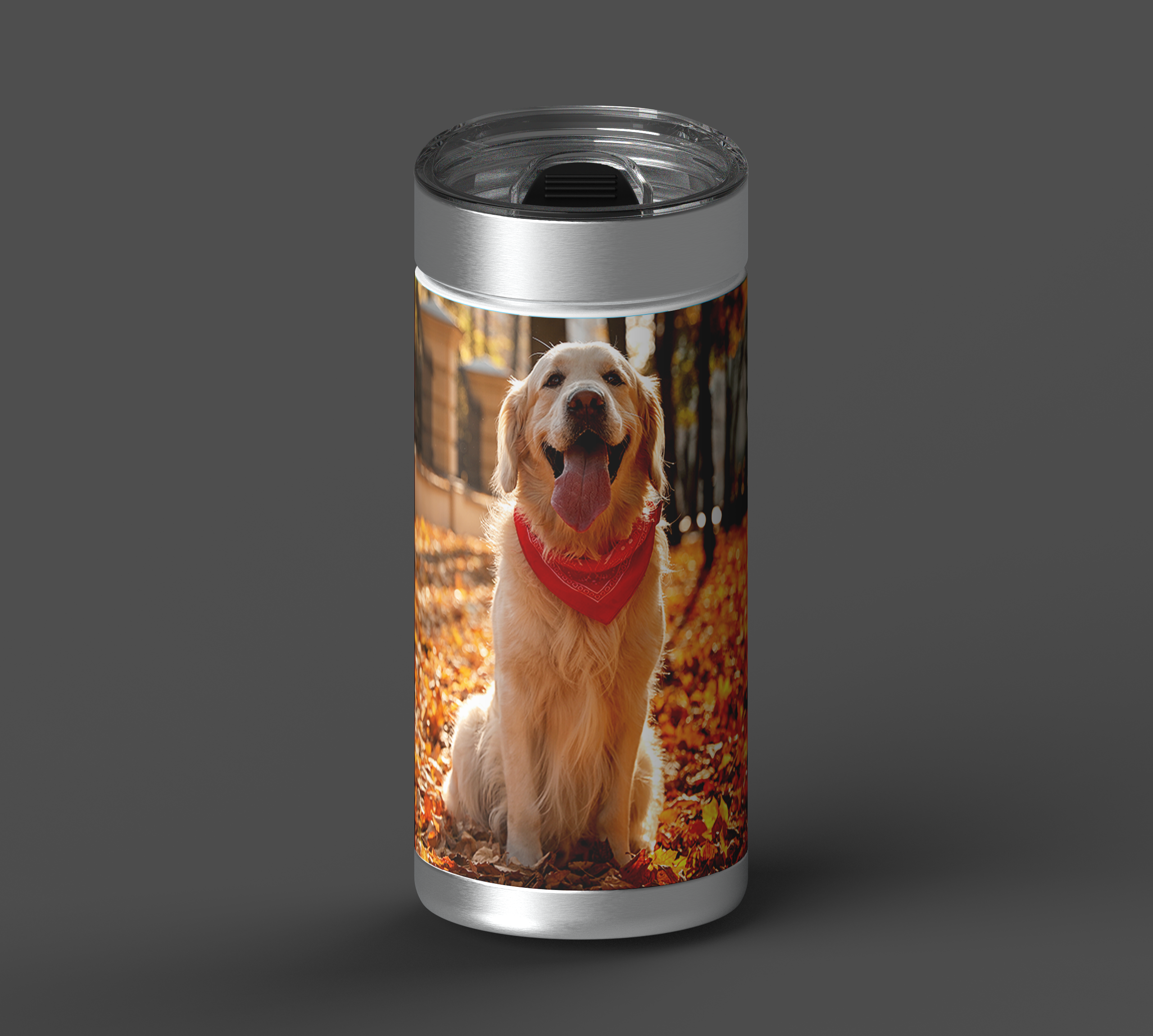 Just The Photo Template
