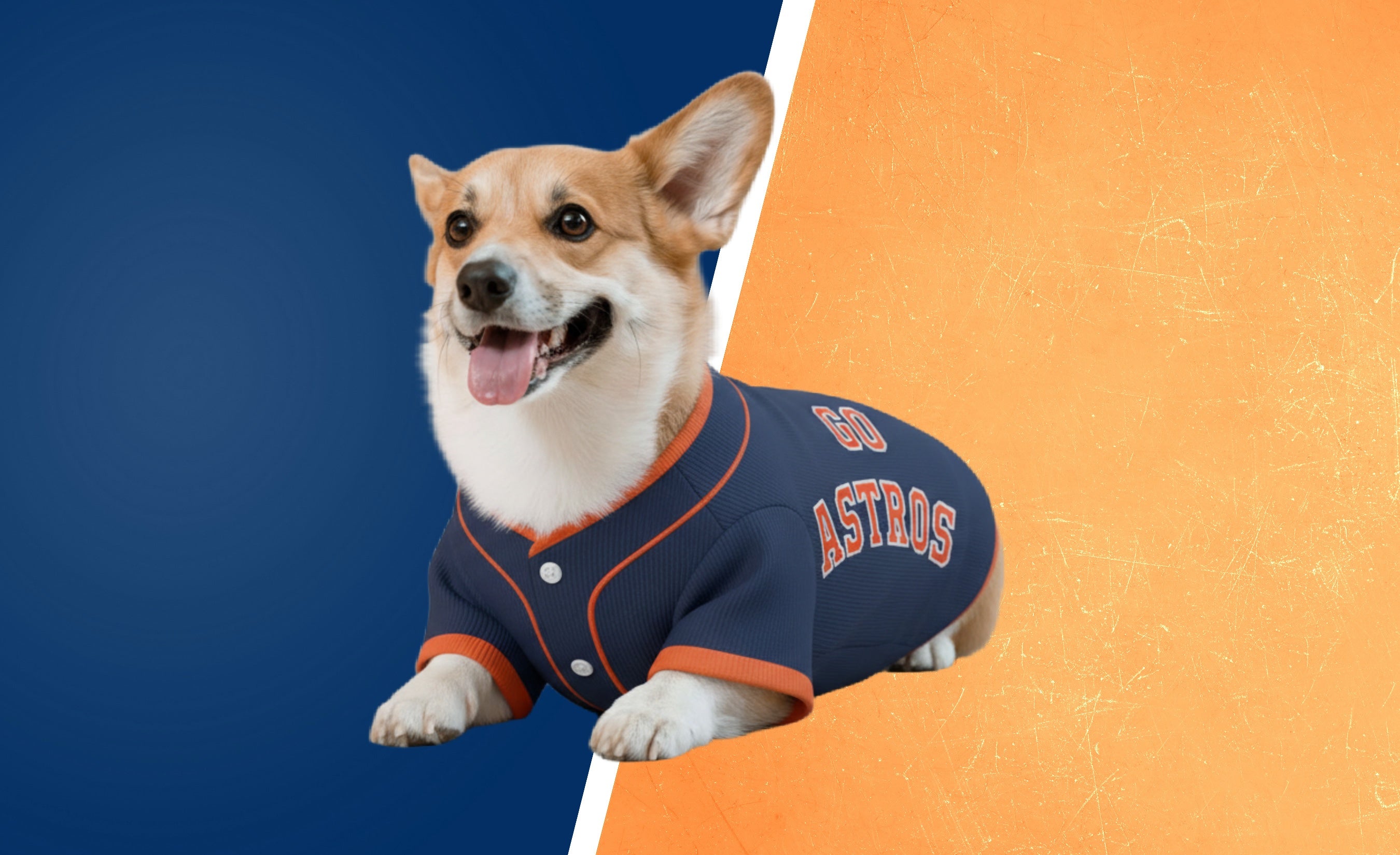 Baseball Fans