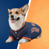 Baseball Fans example artwork with a corgi in an Astros jersey against blue and orange.