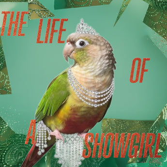 Showbird example artwork with a tiara-wearing green bird on teal shapes and The Life of a Showgirl lettering.
