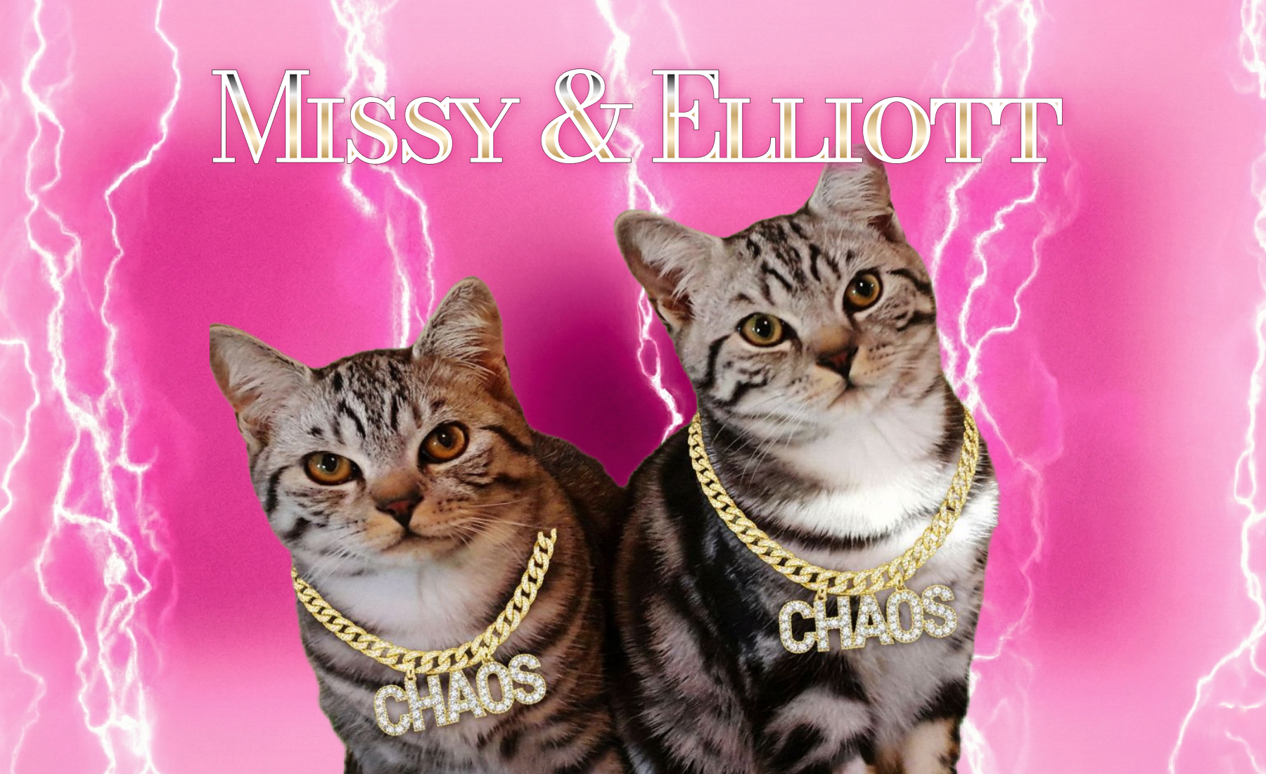 Photo Filter Kitty Custom Tumbler