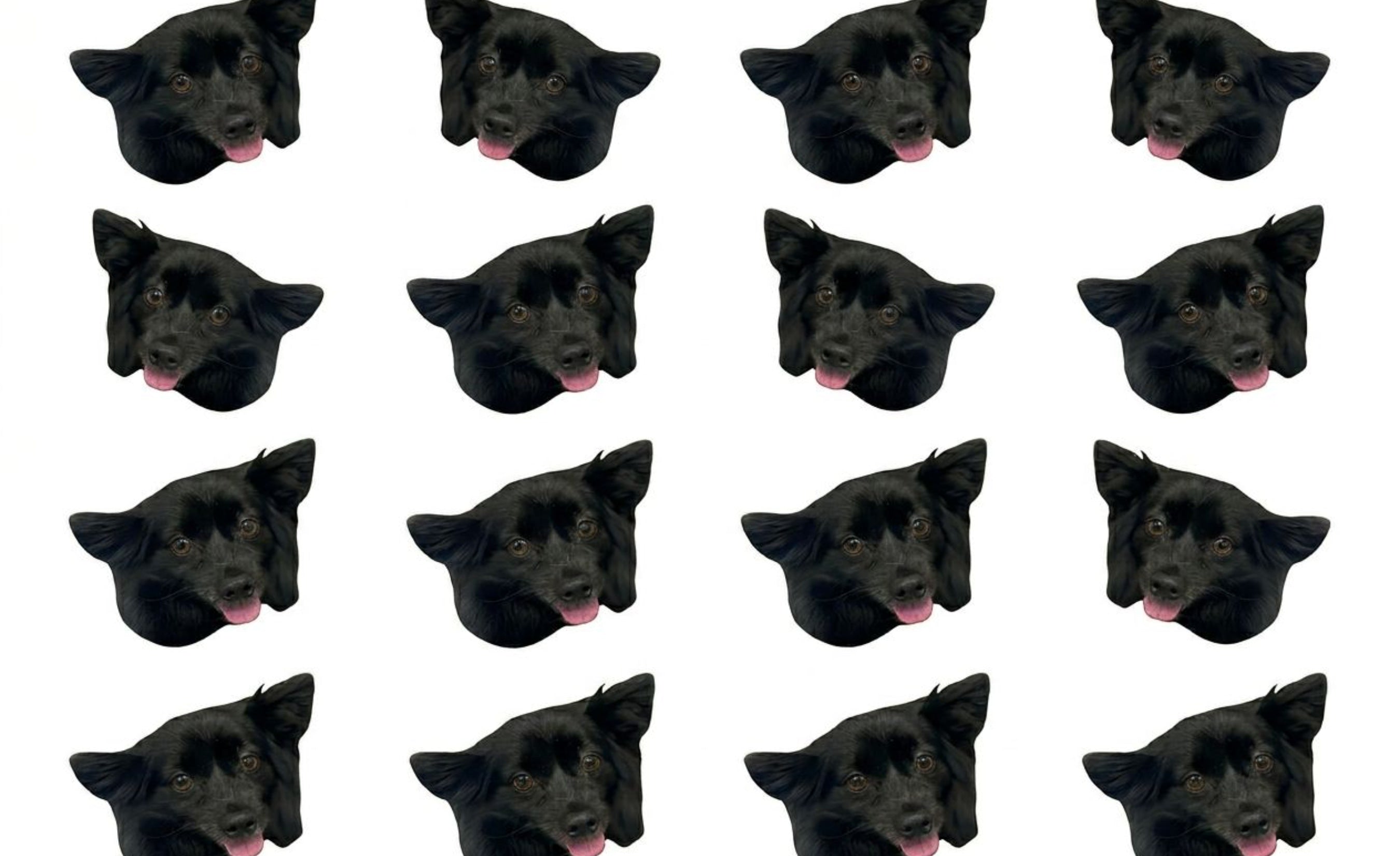 Dog Lover Photo Filters Custom Tumbler