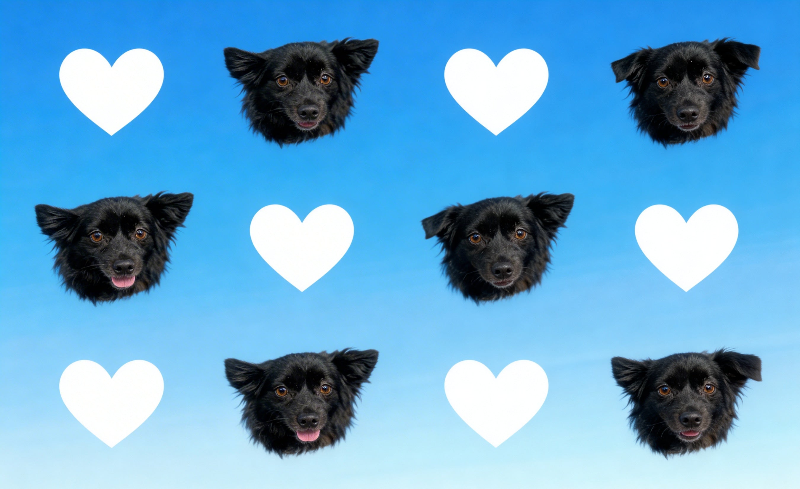 Dog Lover Photo Filters Custom Tumbler