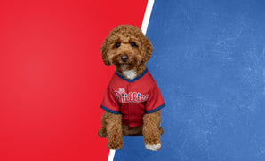 Baseball Fans - Philly