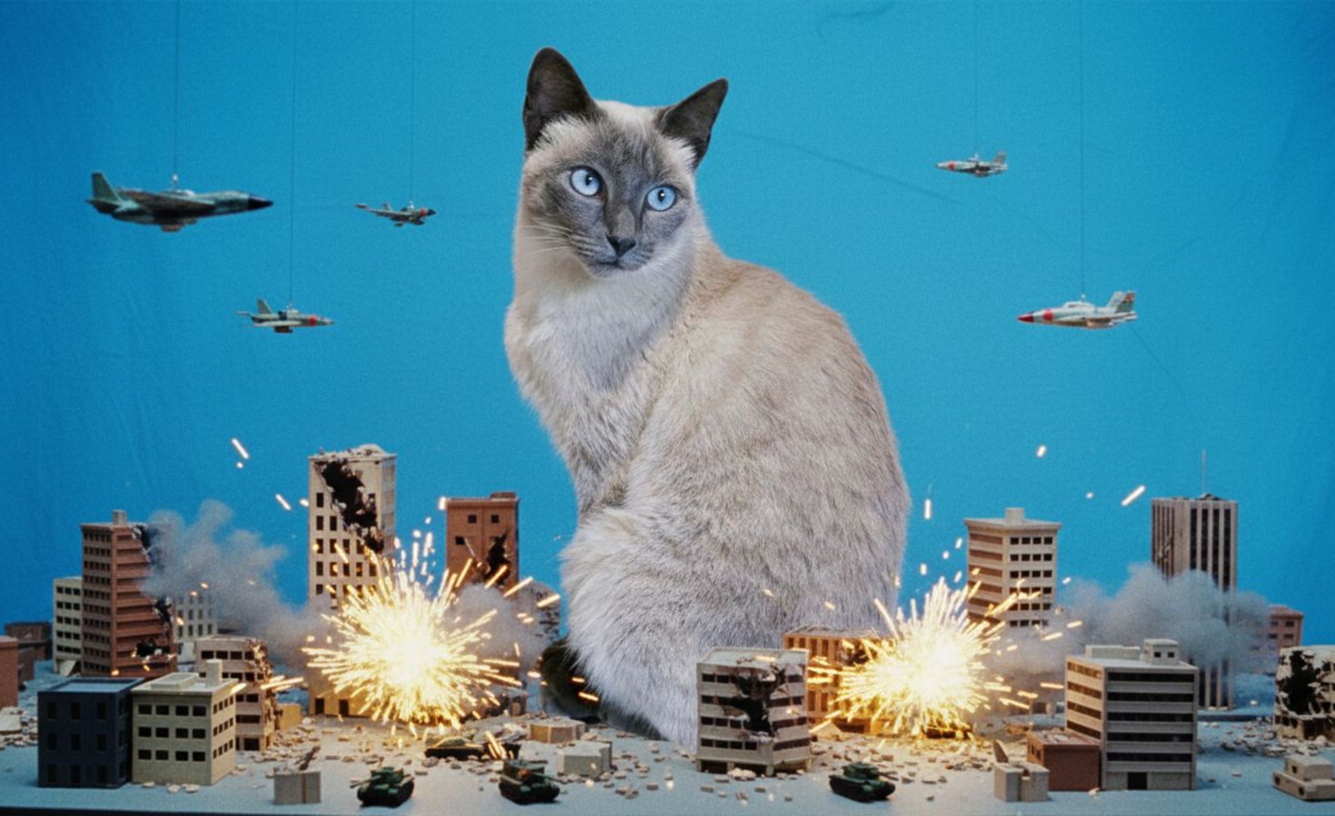 Petzilla Retro Custom Tumbler