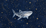 Starry Whale Shark wrap artwork, a watercolor whale shark on a navy night sky with gold stars and constellations