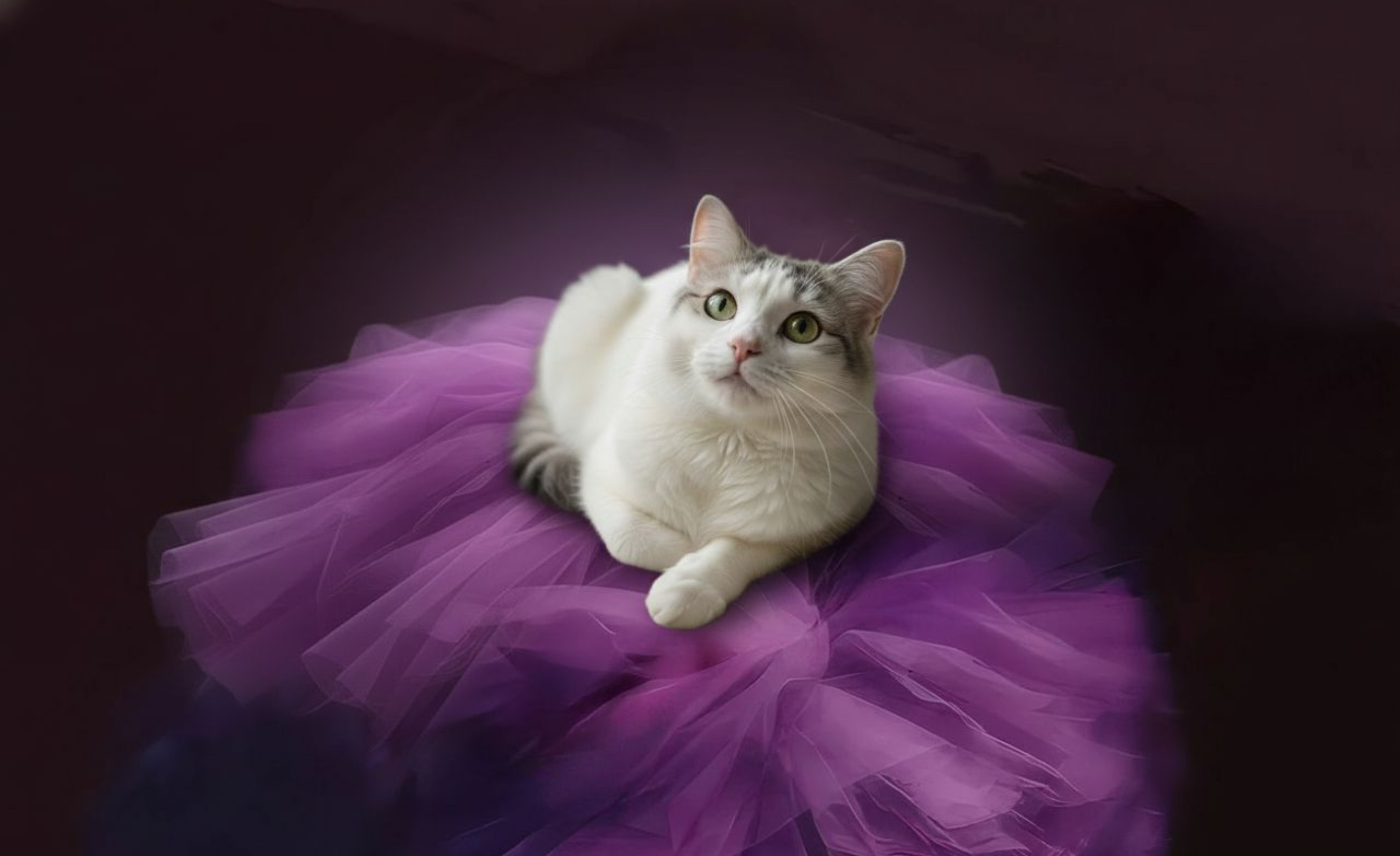 Enchanted Kitty Custom Tumbler