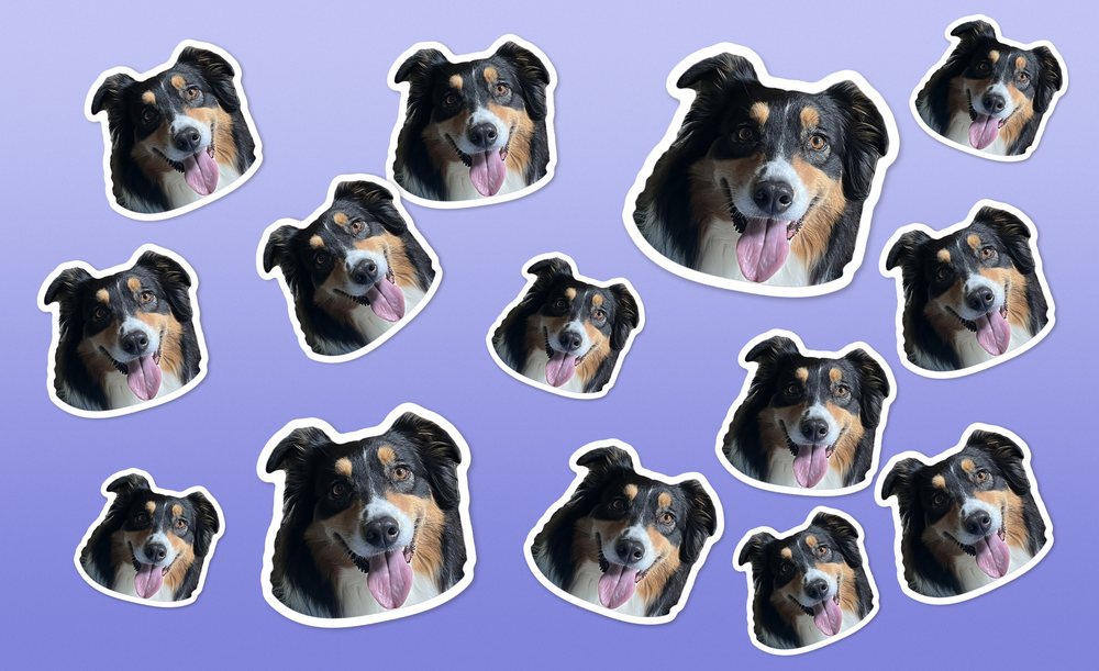 Otto’s faces scattered on a lavender wrap.